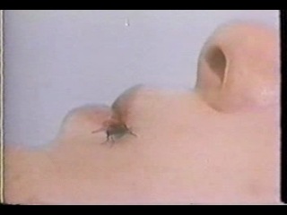 fly (filmed by john lennon/yoko ono in 1970, usa)